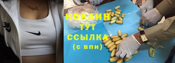 ALPHA PVP Инсар