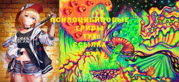 ALPHA PVP Инсар