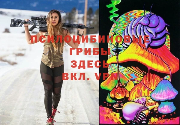 ALPHA PVP Инсар