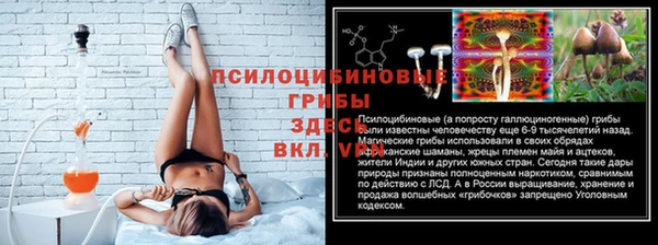 СК Березники
